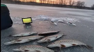 Тест камеры для зимней рыбалки Баракуда, щука на жерлицы не давала скучать)