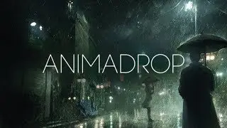 Animadrop - Soul Mirror