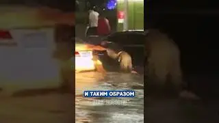 👍 Лучший друг в беде не бросит 👍
