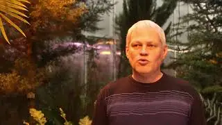 «Ботанический сад имени Генкеля», видеостудия «Кадриль» (МАУ «ЛКДЦ»)