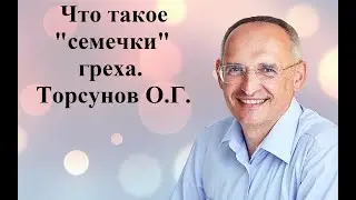 Что такое "семечки" греха. Торсунов О.Г.