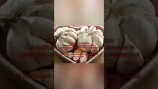 Health and Beauty benefits of Garlic 