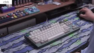 Ayleen TKL Build Stream