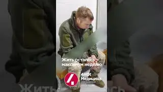 Бешенство 🆘🆘🆘 