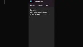 Creating and Printing Variables in BAT Scripting