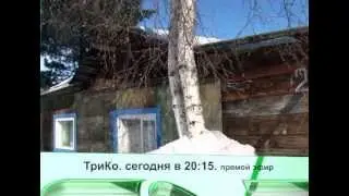ТриКо. Сегодня в 