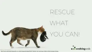 DrupalCon Baltimore 2017: Rescue Me: Recovering a sad, broken Drupal