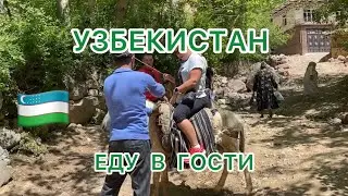 УЗБЕКИСТАН 🇺🇿ШАХРИСАБЗ🍒На индивидуальном ТРАНСПОРТЕ 🫏 в ГОСТИ 🍇Угощают таджикским ПЛОВОМ