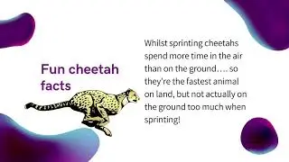 Fastest Animals on land | Unique Videos