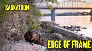 Edge Of Frame Episode 3 - Saskatoon
