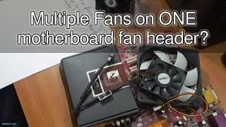 Multiple Fans on ONE motherboard fan header?