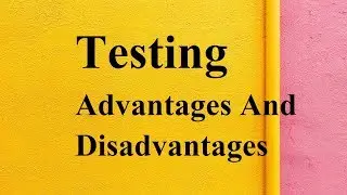Testing advantages and disadvantages