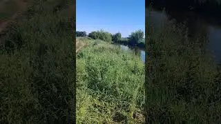 Лето, жара, солнце 😅