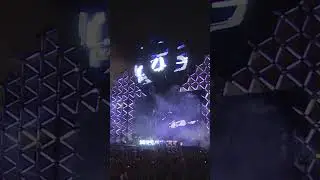 Live performance of Dear Boy at Ultra Music Festival (Miami, 2013-03-22) 