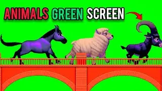 Cartoon Animal Running Video | Animals Stampede Green Screen Video | Animal Cartoon Video