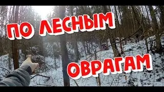 On forest ravines with metal detector XP ORX.