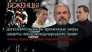 Международные механизмы защиты Статус беженца. Евгений Герасименко Дубов Вигиринский. Египет Газа