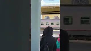 Поезд Деда Мороза снова в Ярославле