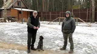 Тренировка с хозяином собаки