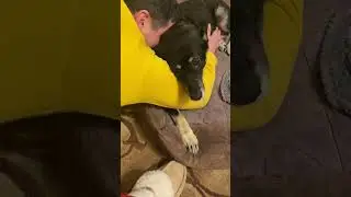 Встреча отца прошла на высшем уровне 😍❤️