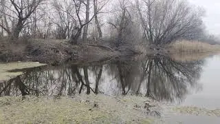 Сравнение пьяной и трезвой жизни. Алкогольная зависимость.