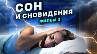 Треть жизни в постели. Что такое сон и почему мы видим сновидения?