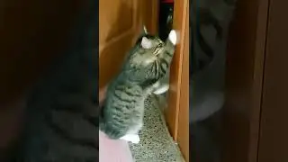 Ой, не могу . Откройте уже.