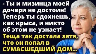 Теща так достала зятя, что он попал в сумасшедший дом. А спустя время...Любовные истории