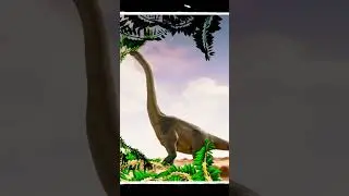 Matteo learns about different types of dinosaurs 