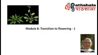 Module 8: Transition to Flowering - 1 #EPGPathshala