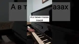 Ты Похож На Кота 🐈 Хочу Забрать Тебя Домой 🏠