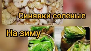 Сыроежки (синявки) соленые на зиму.