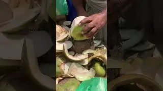 তালের ডাব