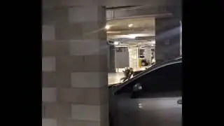 la mejor broma de terror