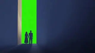 Couple on green screen - Chroma Key - No Copyright green screen animation |chroma key