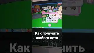 как получить любого (почти любого) пета в адопт ми рабочий способ