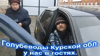 Голубеводы из г Курска у нас в гостях