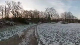 gopro fusion 360° - walking with dog