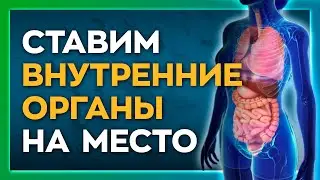Как правильно массировать внутренние органы? Снятие спазмов без таблеток. Висцеральная терапия