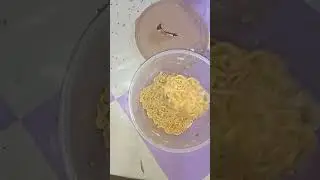 D.I.Y ULAM HAHAHA | LIFE HACK SA GITNA NG MAULAN NA PANAHON | Eric Articulo