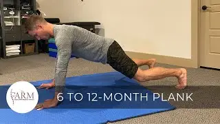 DNS 6 Month to 12 Month Plank (Dynamic Neuromuscular Stabilization Concepts)