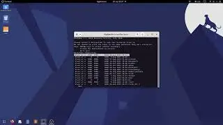 Recover deleted files with Photorec (part of TestDisk).