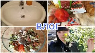 Покупка продуктов на 600 рублей/Устранила засор в раковине/Готовлю любимый салат🥗