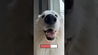 Test certifié avec 100% de précision. Envoie à un pote qui doit faire ce test. 🥰 