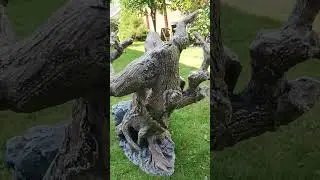 Искусственный камень в ландшафте. Изделия из цемента.
