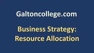 Business Strategy: Resource Allocation