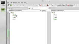 Meld : To Compare Two Files And Directories In Linux Mint