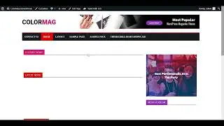 Designing a Professional-looking Auto Blogging Website on WordPress