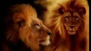 Africa - Vega4 Life Is Beautiful