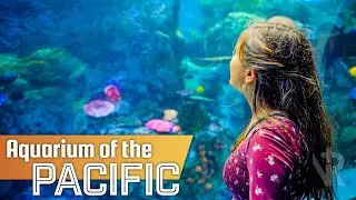 Aquarium of the Pacific | Long Beach, CA